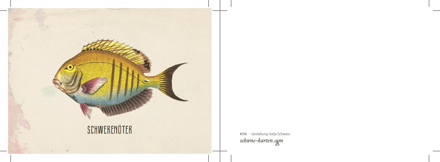 Postkarte Fishlove · Schwerenöter